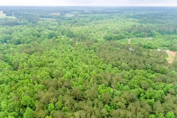 Land in Clay, Kentucky — photo 1 of 4