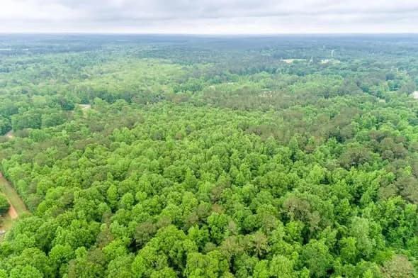 Land in Clay, Kentucky — photo 2 of 4