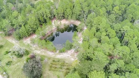 Land in Effingham County, Georgia — photo 1 of 8