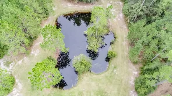 Land in Effingham County, Georgia — photo 2 of 8