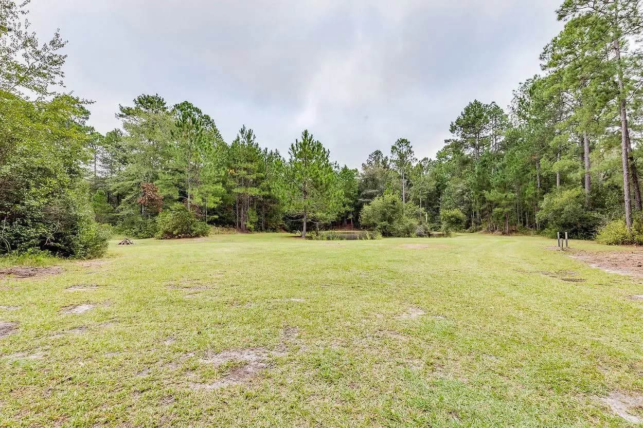 Land in Effingham County, Georgia — photo 4 of 8