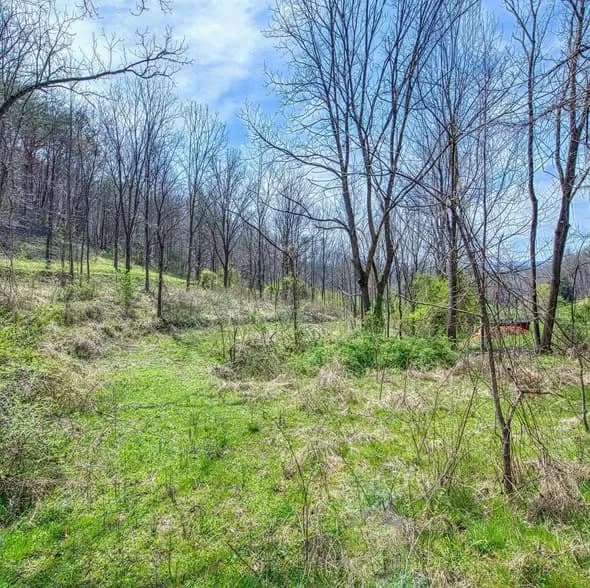 Land in Jackson County, North Carolina — photo 2 of 3