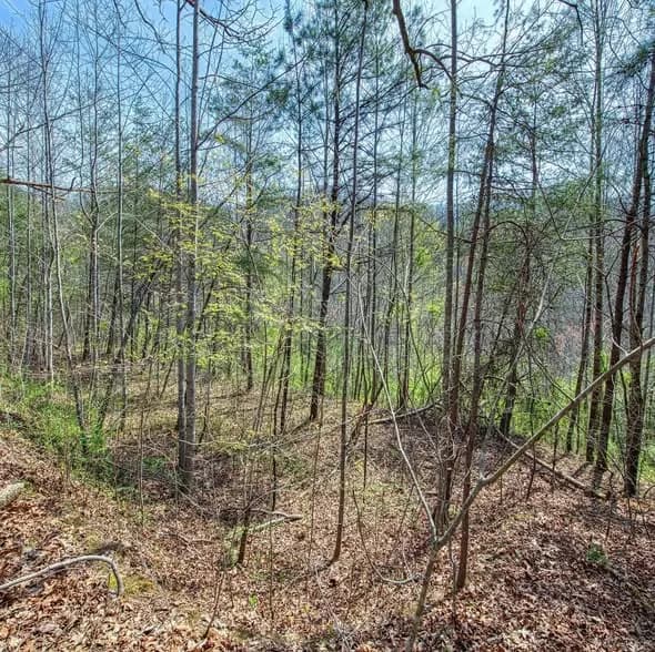 Land in Jackson County, North Carolina — photo 3 of 3