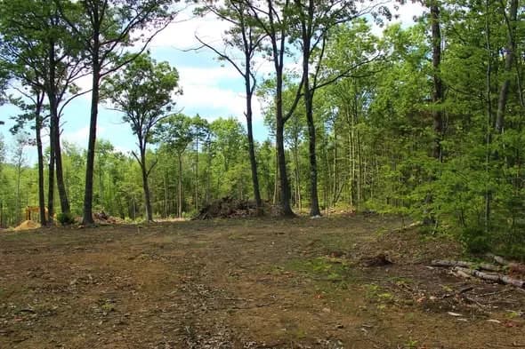 Land in Oxford County, Maine — photo 5 of 7