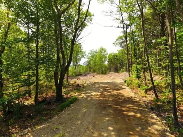 Land in Oxford County, Maine — photo 6 of 7