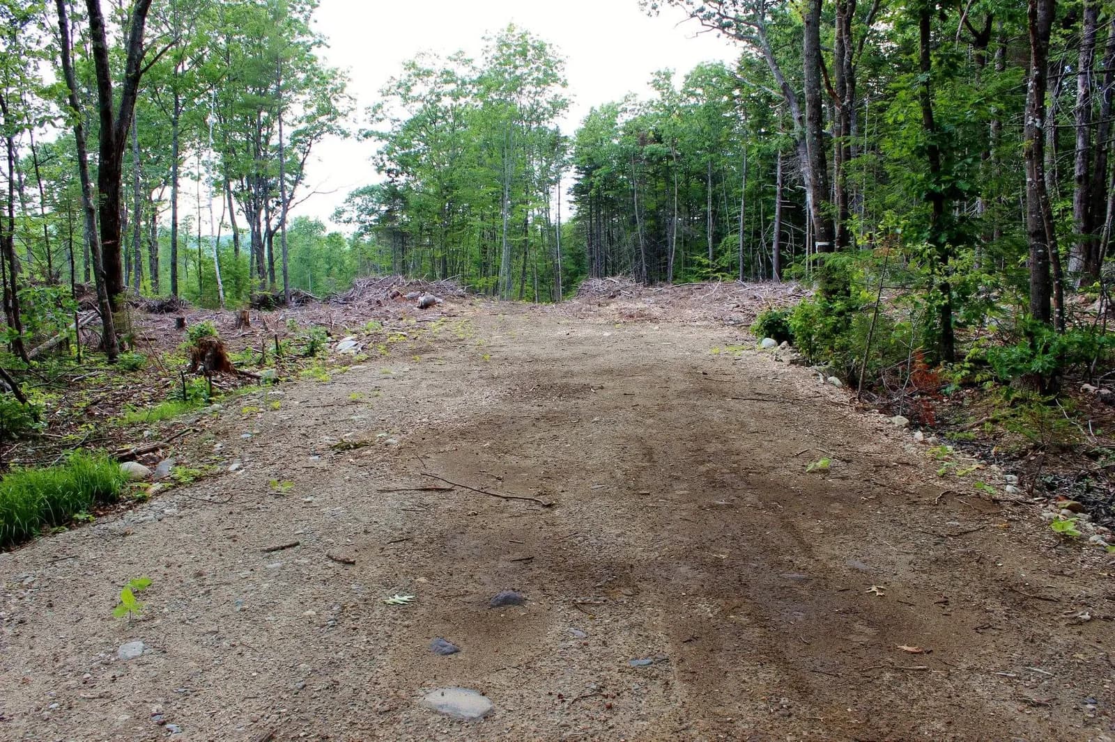 Land in Oxford County, Maine — photo 7 of 7