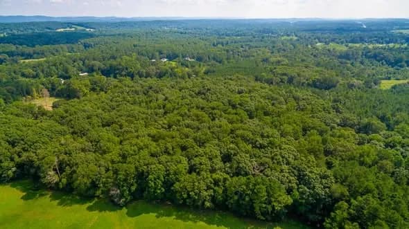 Land in Walker County, Georgia — photo 2 of 5