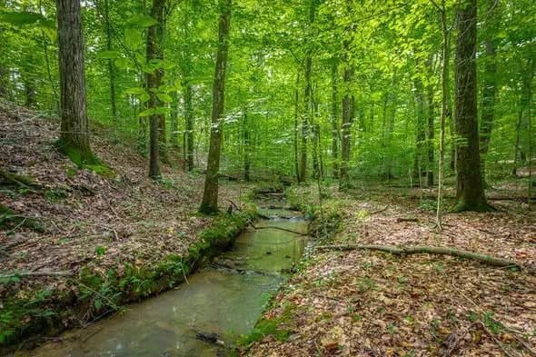 Land in Walker County, Georgia — photo 4 of 5