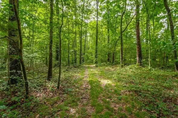 Land in Walker County, Georgia — photo 5 of 5