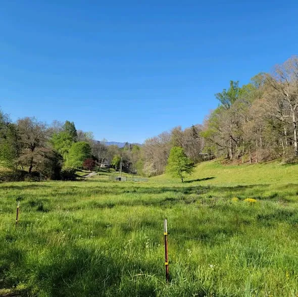 Land in Jackson County, North Carolina — photo 1 of 3